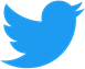 Twitter logo 2.png